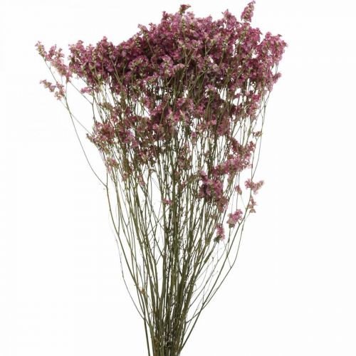 Statice, Sea Lavender, Dried Flower, Wildflower Bunch Pink L52cm 23g