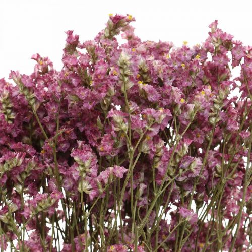 Product Statice, Sea Lavender, Dried Flower, Wildflower Bunch Pink L52cm 23g