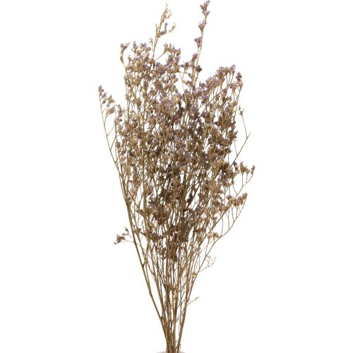 Floristik24 Beach Lilac Limonium Dried Flowers Purple 70cm 50g