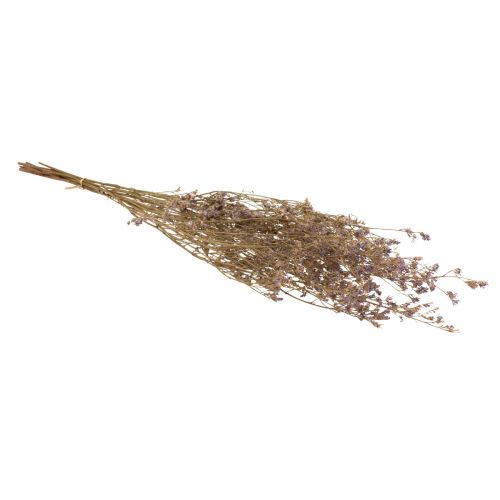 Product Beach Lilac Limonium Dried Flowers Purple 70cm 50g