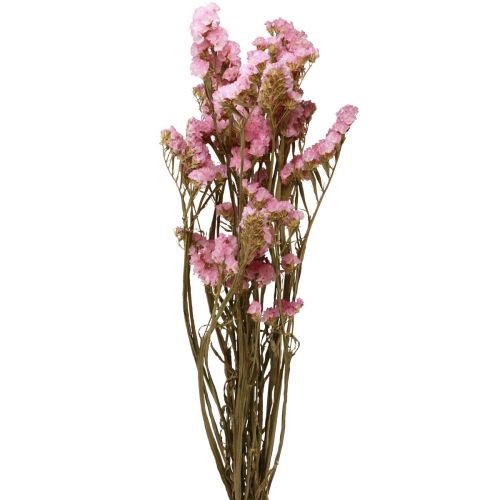 Floristik24 Beach Lilac Pink Limonium Dried Flowers 60cm 50g