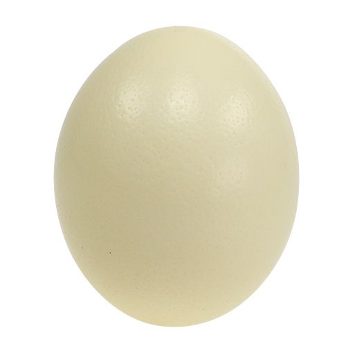 Product Ostrich egg natural blown out empty decoration