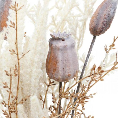 Product Poppy capsules decoration dried flowers artificial fern cream 63cm