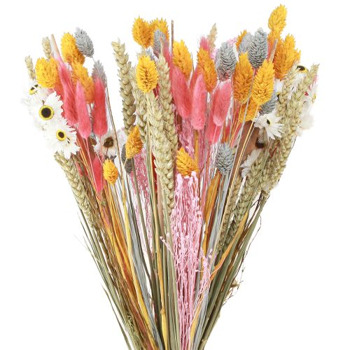 Floristik24 Bouquet of dried flowers and grains pink yellow blue 55cm