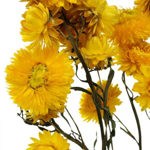 Floristik24 Dried Flower Yellow Straw Flower Helichrysum Dry Decoration Bunch 50cm 45g