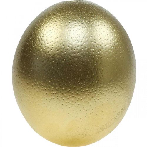 Product Ostrich Egg Decoration Blown Out Easter Decoration Gold Ø12cm H14cm