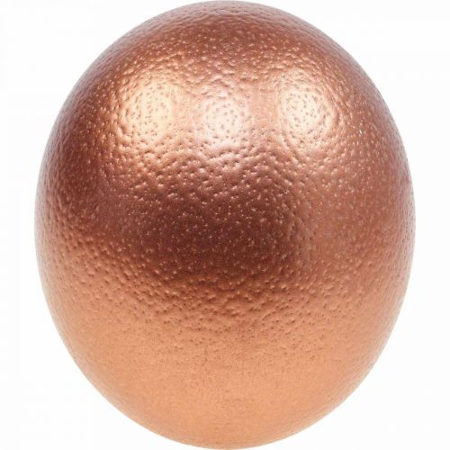 Floristik24 Ostrich egg decoration blown out Easter decoration copper Ø12cm H14cm