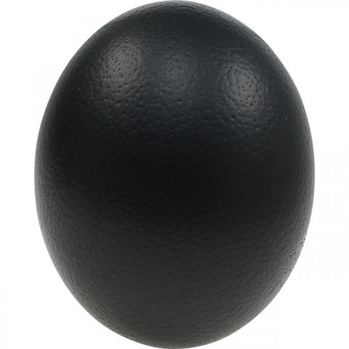 Floristik24 Ostrich Egg Decoration Blown Out Easter Decoration Black Ø12cm H14cm