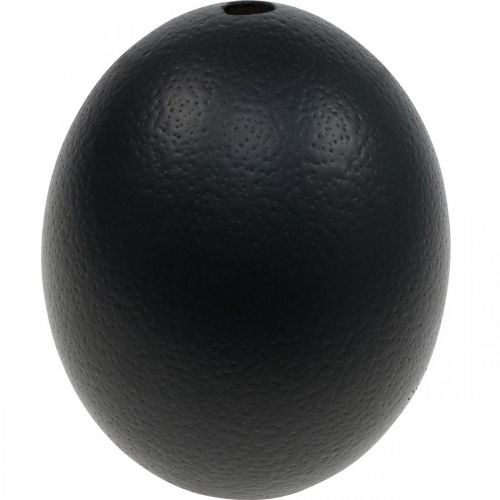 Floristik24 Ostrich Egg Decoration Blown Out Easter Decoration Black Ø12cm H14cm