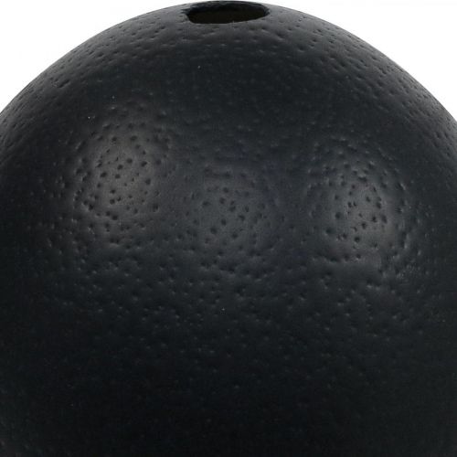 Ostrich Egg Decoration Blown Out Easter Decoration Black Ø12cm H14cm | Floristik24.co.uk