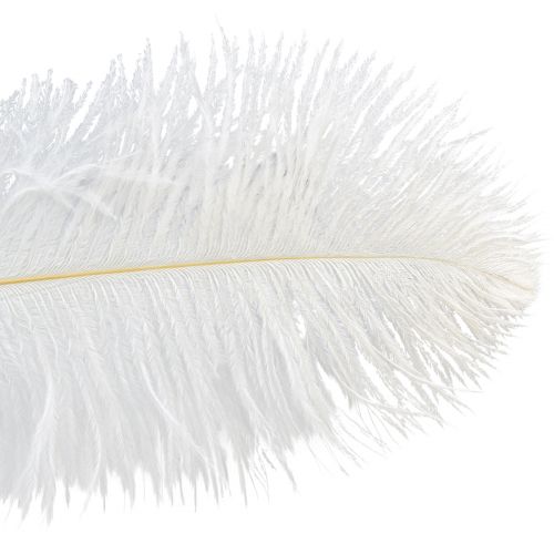 Product Ostrich Feathers Exotic Decoration White Feathers 32-35cm 4pcs