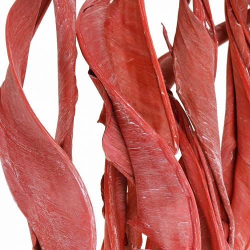 Product Strelitzia leaves red frosted dried floristry 45-80cm 10pcs
