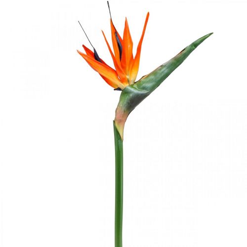 Floristik24 Strelizie reginae artificial flower orange bird of paradise L85cm