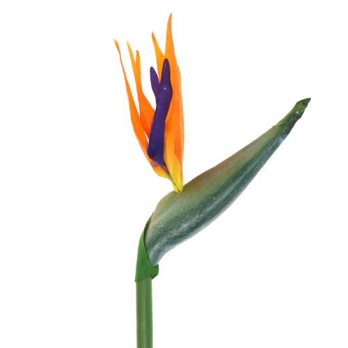 Product Strelitzia Bird of Paradise flower artificially 98cm