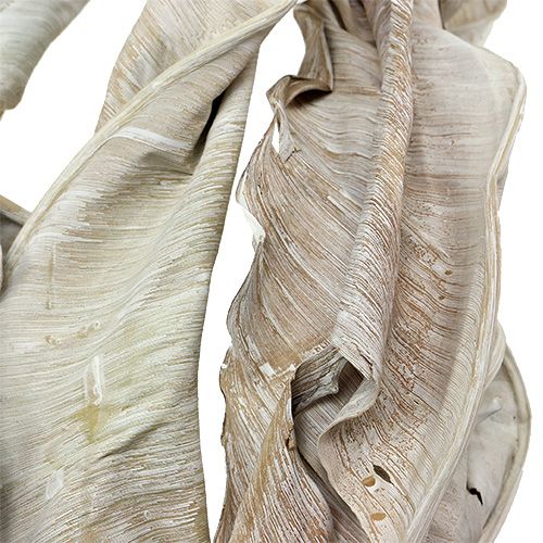 Product Decorative leaves Strelitzia leaves washed white 120cm 10pcs