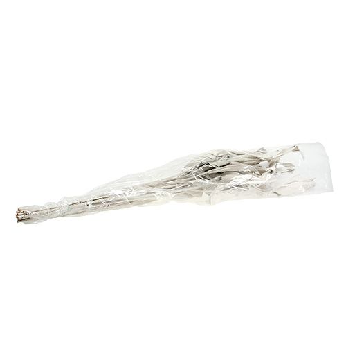 Floristik24 Decorative leaves Strelitzia leaves whitewashed 120cm 10 pcs