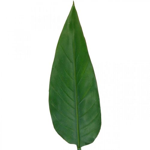 Product Strelitzia Parrot Flower Decorative Leaf Strelitzia Leaf Green L81cm