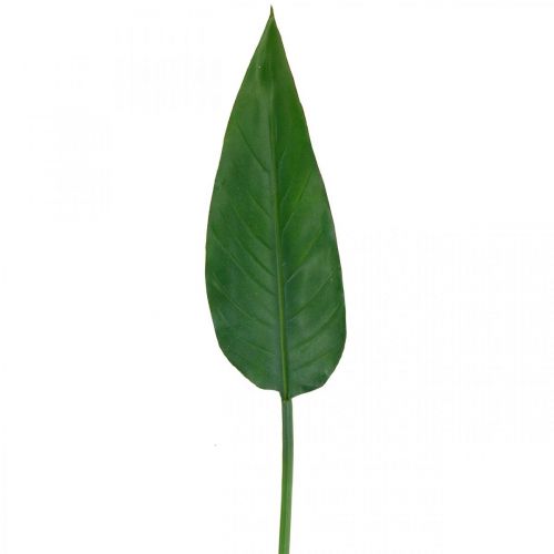 Floristik24 Strelitzia Parrot Flower Decorative Leaf Strelitzia Leaf Green L81cm