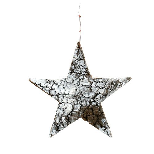 Floristik24 Birch bark star large white 19cm 4pcs