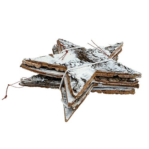 Floristik24 Birch bark star large white 19cm 4pcs