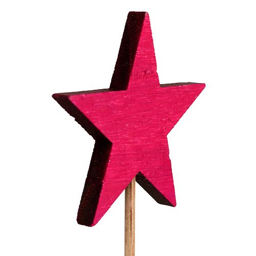 Floristik24 Star Fuchsia as plug 7cm 12pcs