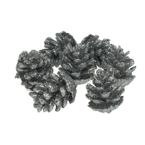Floristik24 Pine cones silver 3cm 48 pcs