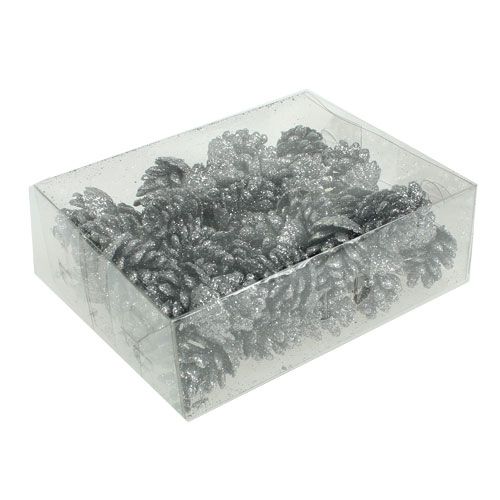 Floristik24 Pine cones silver 3cm 48 pcs