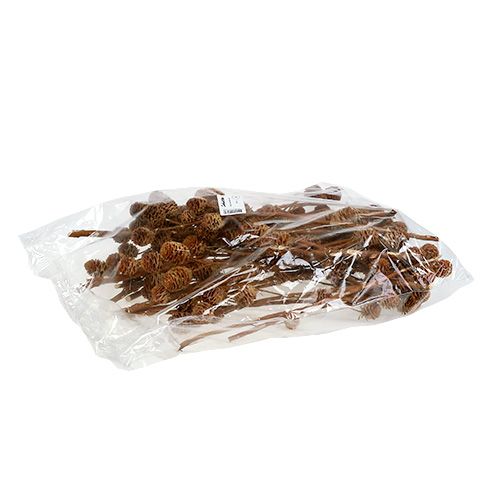 Product Strictum 6 - 9 heads 25 pcs