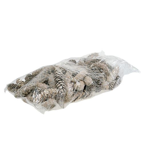 Product Strobus cones 15cm - 20cm whitewashed 50 pcs