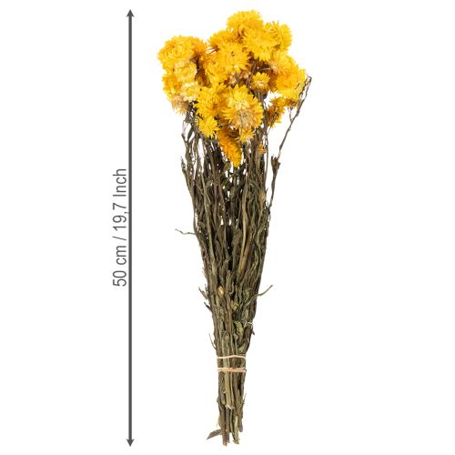 Product Dried yellow strawflower (Helichrysum) dried flower bunch, 100g