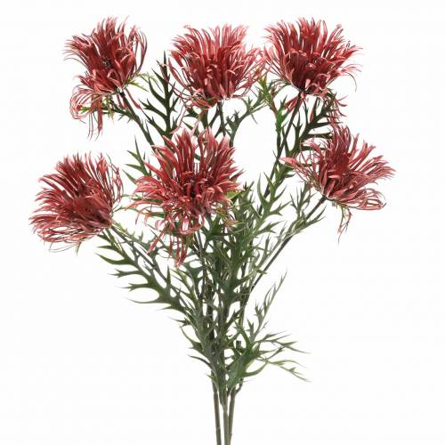 Floristik24 Xanthium branch Bordeaux 69cm 3pcs