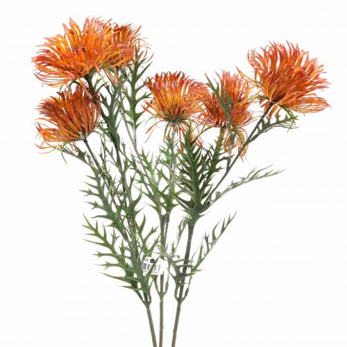 Floristik24 Xanthium branch orange 69cm 3pcs