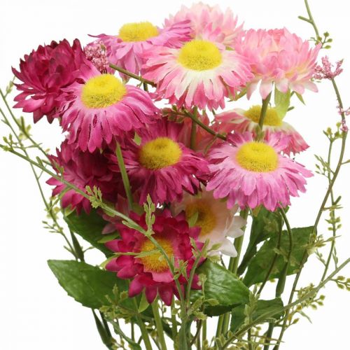 Product Rhodanthe pink-pink, silk flowers, artificial plant, bunch of straw flowers L46cm