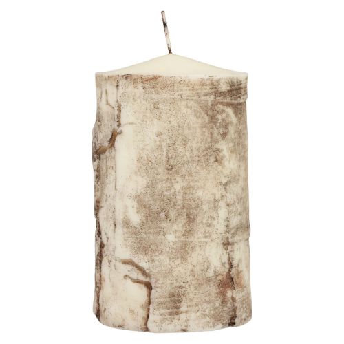 Floristik24 Pillar Candle Tree Bark Candle Birch Decor Cream 140/80mm