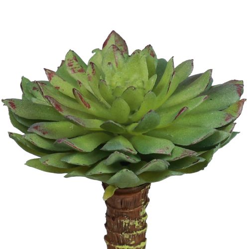 Succulent Echeveria Artificial Green Plant Green Ø6cm 10.5cm