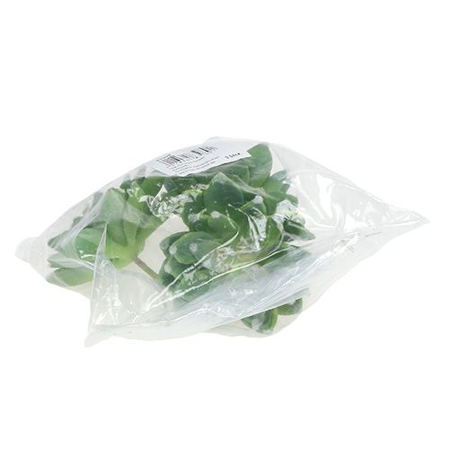 Product Succulent stone rose green Ø10cm H11cm 3 pcs