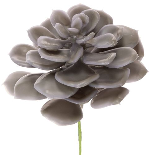 Artificial Wax Succulent Set, 10cm, Grey-Green, 6 Pieces buy online | Floristik24.co.uk