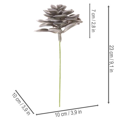 Artificial Wax Succulent Set, 10cm, Grey-Green, 6 Pieces | Floristik24.co.uk