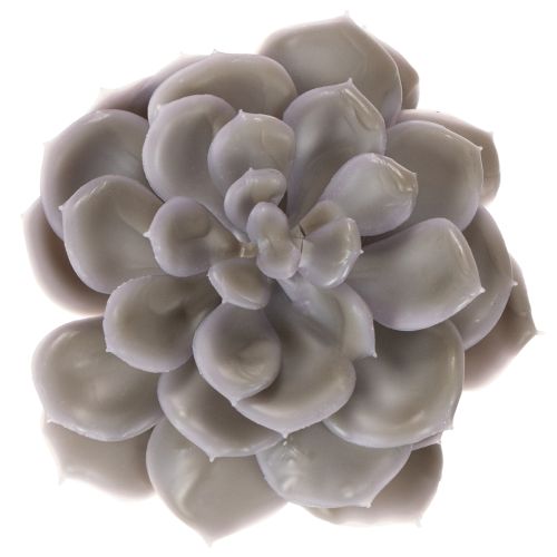 Artificial Wax Succulent Set, 10cm, Grey-Green, 6 Pieces | Floristik24.co.uk