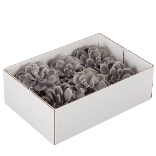 Artificial Wax Succulent Set, 10cm, Grey-Green, 6 Pieces | Floristik24.co.uk