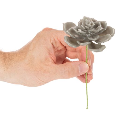 Künstliche Waxed Succulent with Wire Stem, Grey-Green, 8cm Diameter, Set of 8 | Floristik24.co.uk
