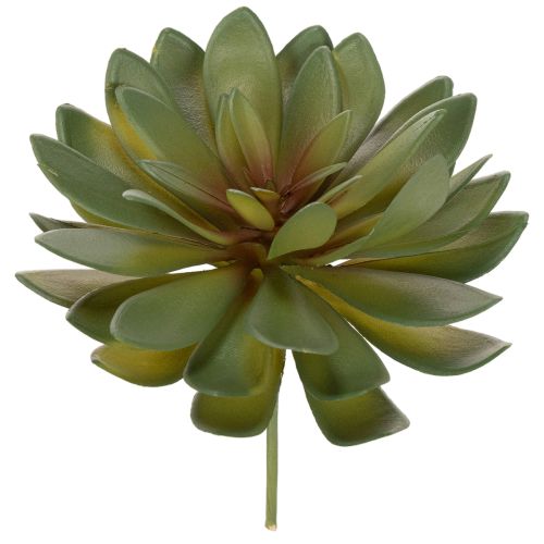 Artificial Green Succulent Decoration Set, 18cm, Pack of 3

```html
<h2>Artificial Green Succulent Decoration for Home and Office</h2>

<p>This set of artificial green succulents is versatile and ideal for home and office decoration. Each piece stands at 
