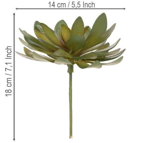 Artificial Green Succulent Decoration Set, 18cm, Pack of 3

```html
<h2>Artificial Green Succulent Decoration for Home and Office</h2>

<p>This set of artificial green succulents is versatile and ideal for home and office decoration. Each piece stands at  | Floristik24.co.uk