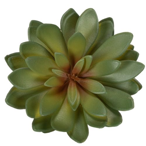 Artificial Green Succulent Decoration Set, 18cm, Pack of 3

```html
<h2>Artificial Green Succulent Decoration for Home and Office</h2>

<p>This set of artificial green succulents is versatile and ideal for home and office decoration. Each piece stands at  | Floristik24.co.uk