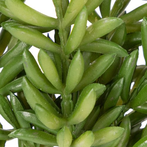 Product Artificial succulent flower for low-maintenance design of living and office spaces, 15cm, 5 pieces