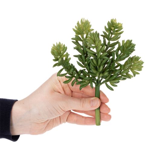 Product Artificial succulent flower for low-maintenance design of living and office spaces, 15cm, 5 pieces