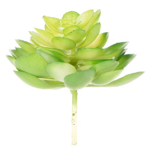 Artificial Green Succulent Set for Bowls or Vases, 10cm, 4 Pieces | Floristik24.co.uk