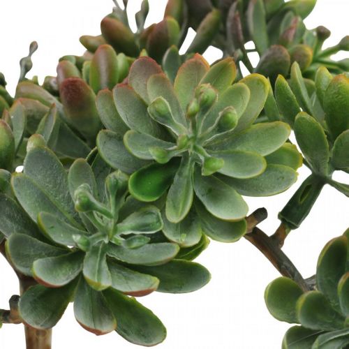 Floristik24 Artificial succulent to stick green, red 12cm