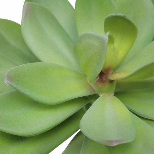 Product Artificial succulent green 27cm