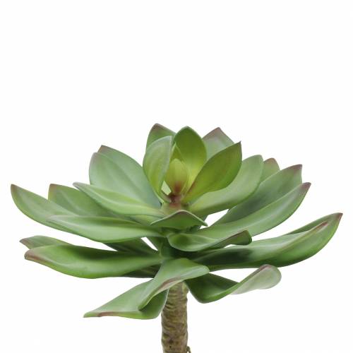 Floristik24 Artificial succulent green 27cm